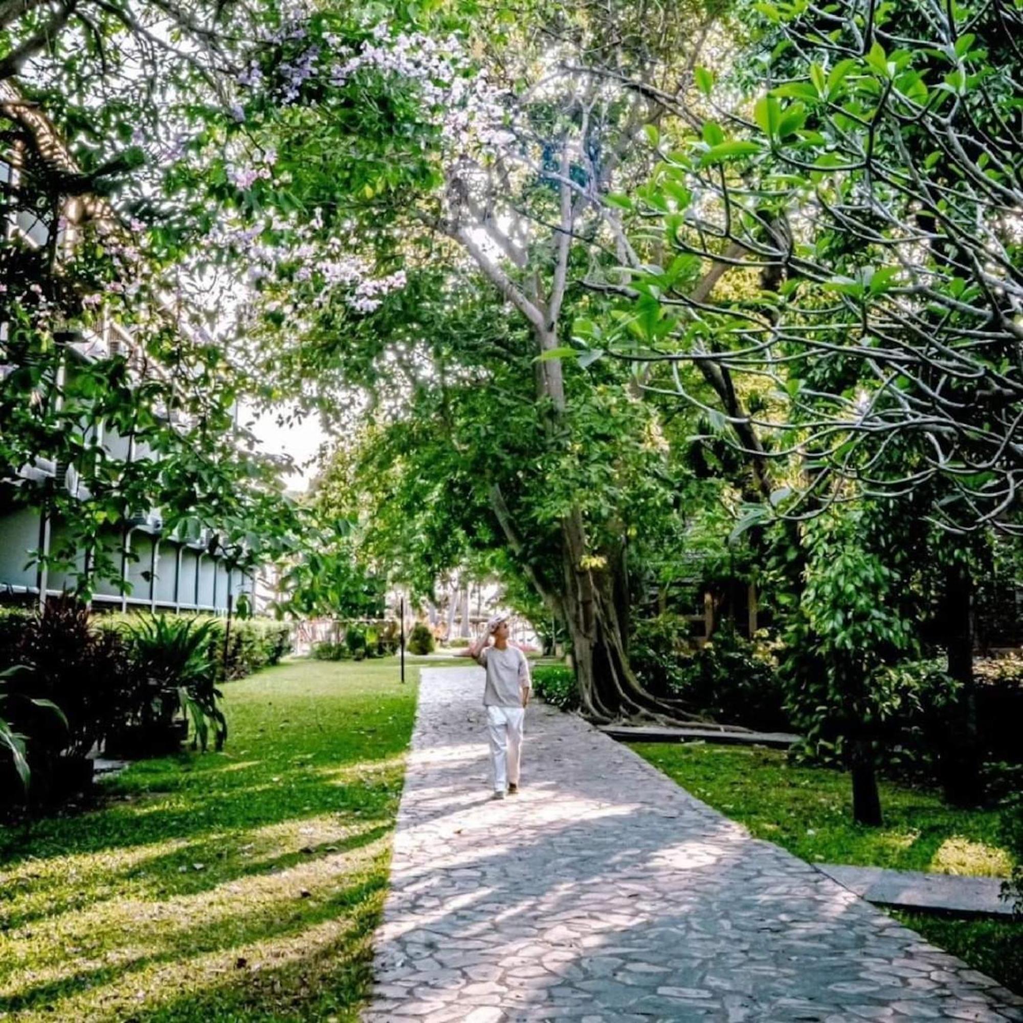 Botany Beach Resort Pattaya Nacsomtien Kültér fotó